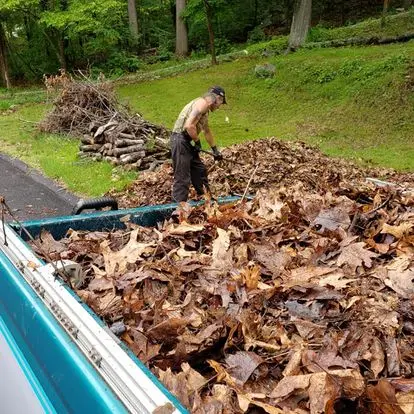 Worker loading leaves and brush into a trailer